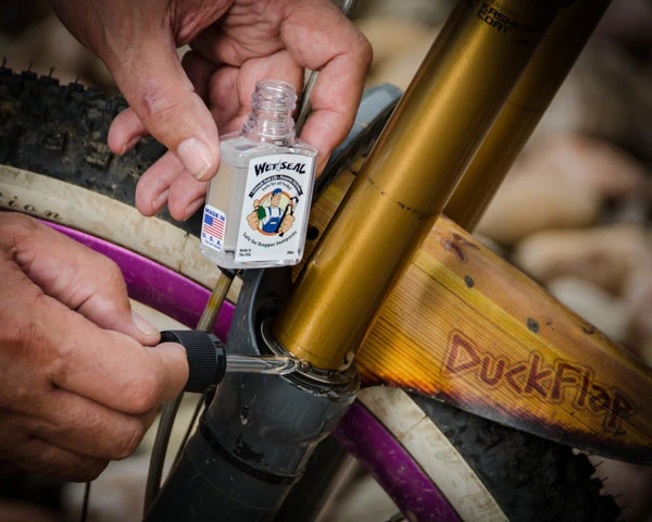 Wet Seal 5 Wet Seal - Image 3