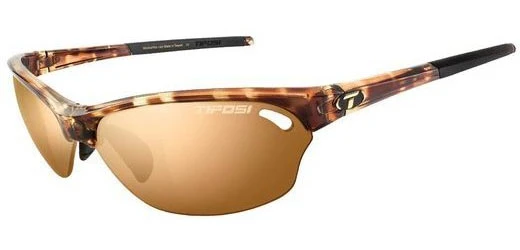 Wasp 11 Wasp - Image 9